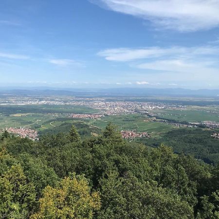 Le Belvedere - Gites Marck Тюркхайм Экстерьер фото